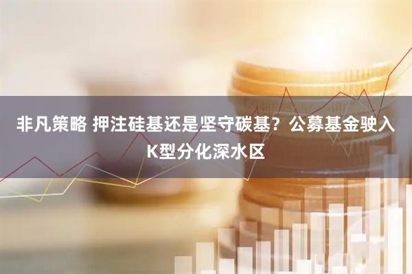 非凡策略 押注硅基还是坚守碳基？公募基金驶入K型分化深水区