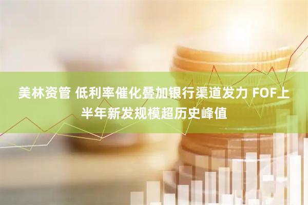 美林资管 低利率催化叠加银行渠道发力 FOF上半年新发规模超历史峰值