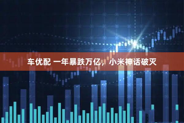 车优配 一年暴跌万亿，小米神话破灭