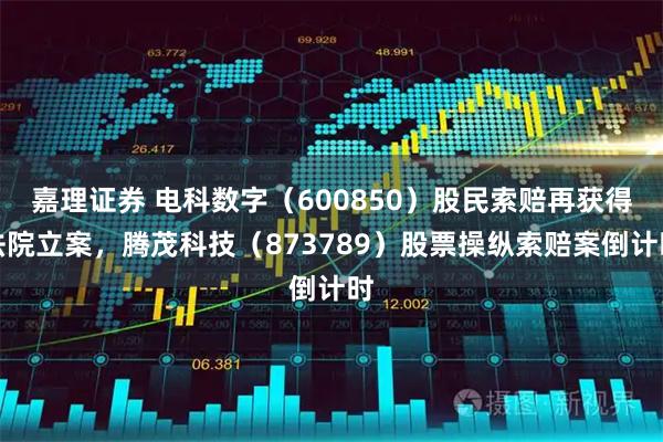 嘉理证券 电科数字（600850）股民索赔再获得法院立案，腾茂科技（873789）股票操纵索赔案倒计时