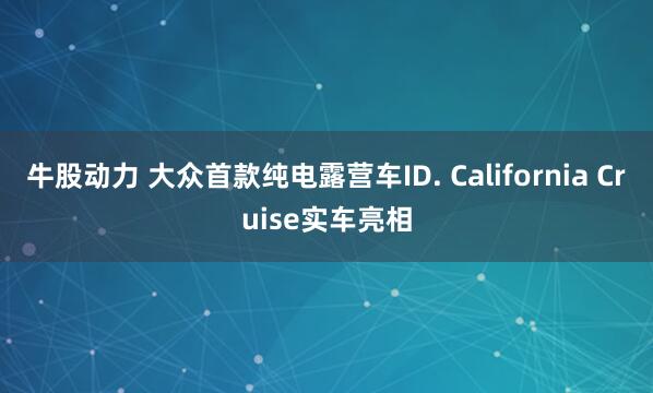 牛股动力 大众首款纯电露营车ID. California Cruise实车亮相